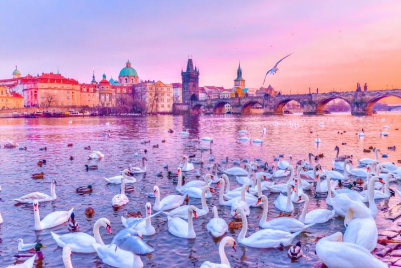 Prague river cruises travel tips