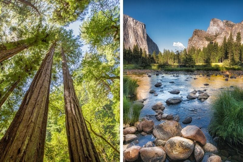 Yosemite National Park and Giant Sequoias Day Trip from San Francisco