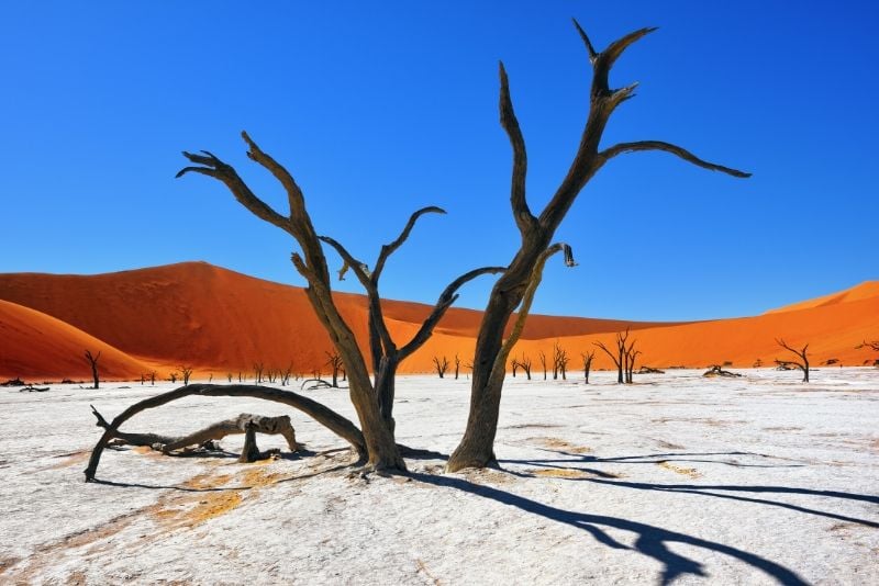 Namib-Naukluft National Park, Namibia - best national parks in the world