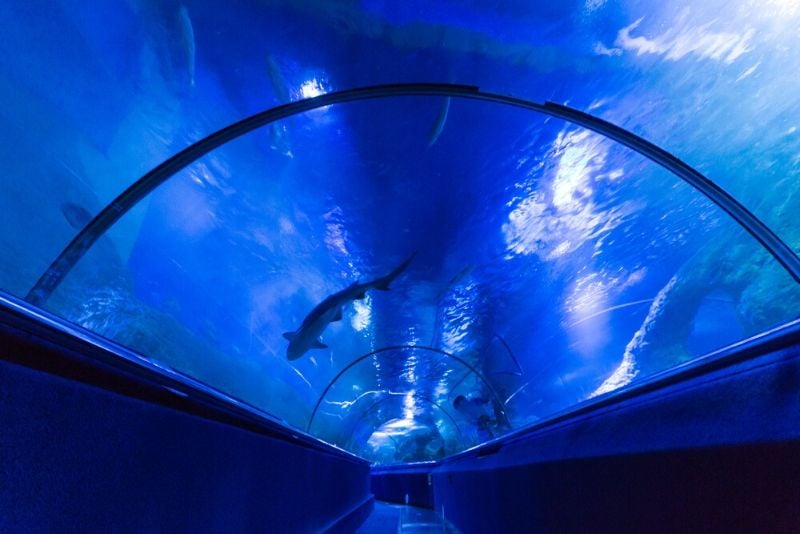 Aquarium of Western Australia, Australia - #33 best aquariums in the world