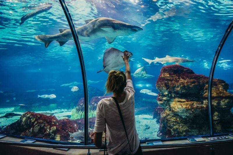 Aquarium Barcelona, Spain - #23 best aquariums in the world