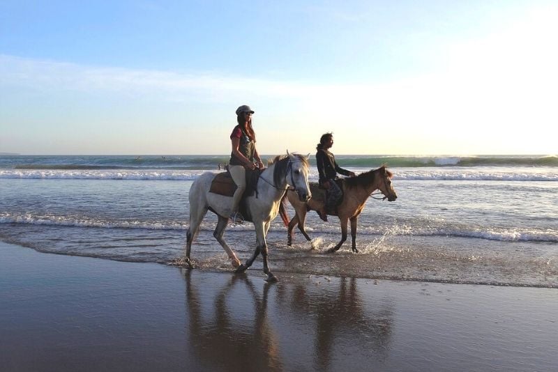 Choses à faire en Belgique #20 Balade à cheval sur les plages belges