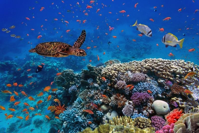 Cube Oceanarium, China - #16 best aquariums in the world