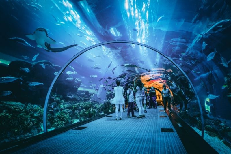 Dubai Aquarium & Underwater Zoo, United Arab Emirates - #5 best aquariums in the world