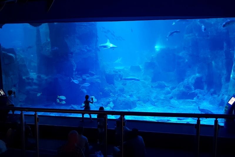Istanbul Aquarium, Turkey - #22 best aquariums in the world