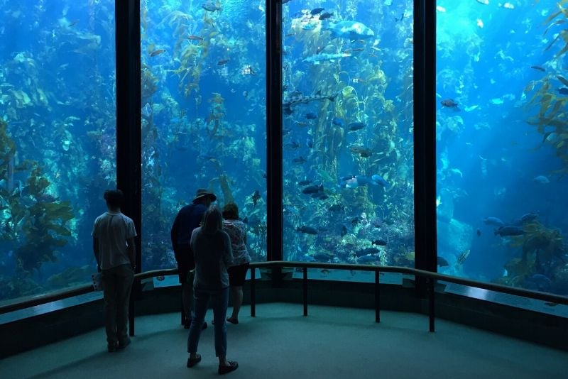 Monterey Bay Aquarium, United States - #14 best aquariums in the world