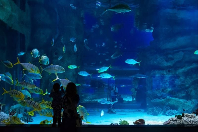 Moscow Oceanarium, Russia - #25 best aquariums in the world