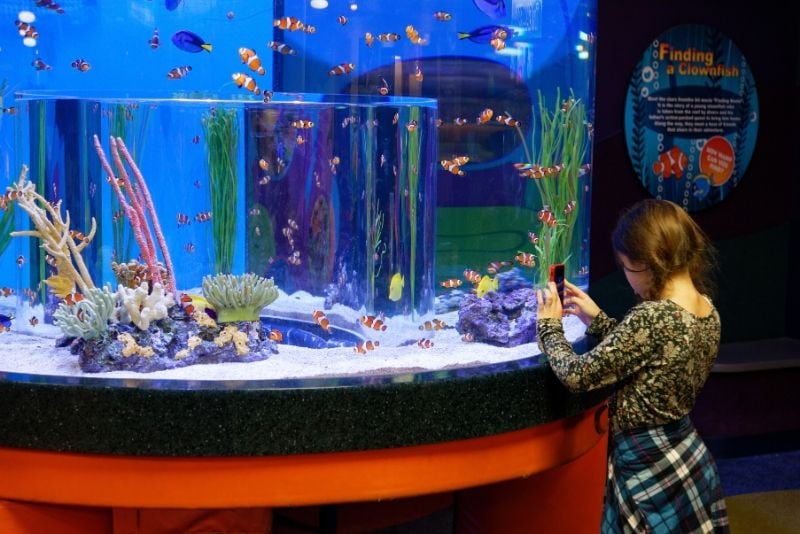 Ripley's Aquarium of Canada, Canada - #7 best aquariums in the world
