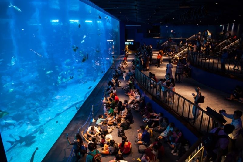 S.E.A. Aquarium , Singapore - #2 best aquariums in the world