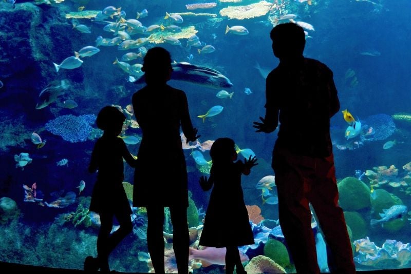 SEA LIFE Centre Istanbul Aquarium, Turkey - #31 best aquariums in the world