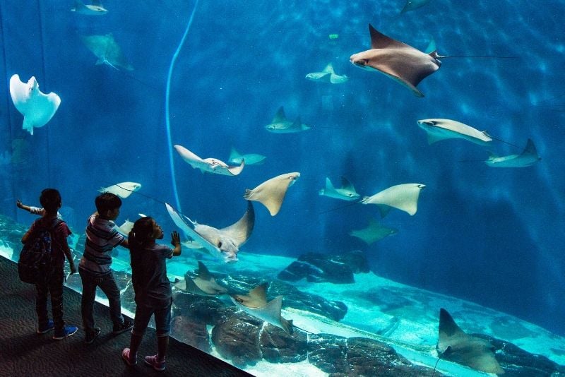 Shanghai Ocean Aquarium, China - #21 best aquariums in the world