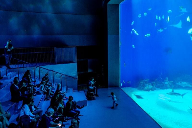 The Blue Planet, Denmark - #29 best aquariums in the world