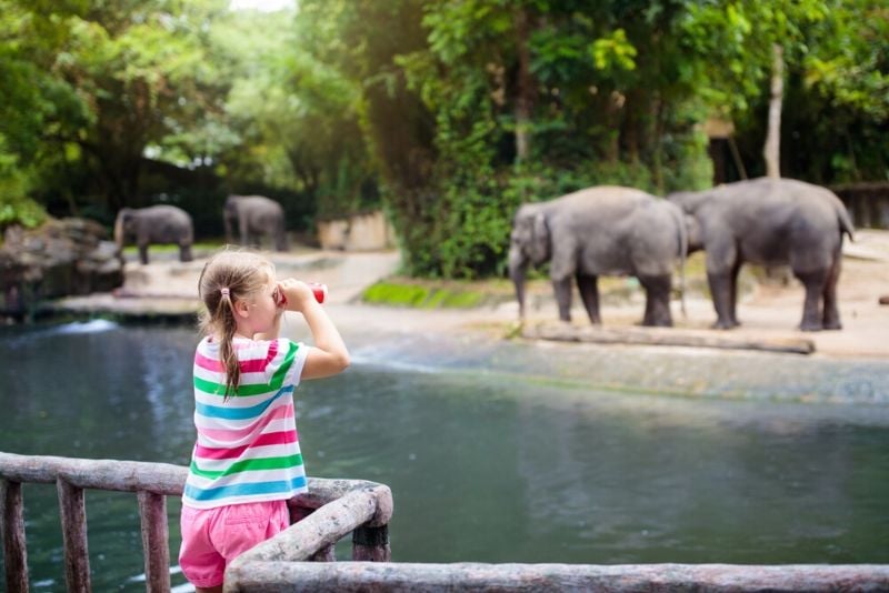 50 Best Zoos in the World 2024 TourScanner