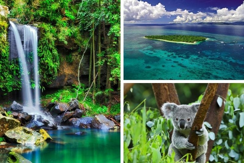 2-Day Reef and Rainforest Package Combo Green Island Cruise and Kuranda Day Trip