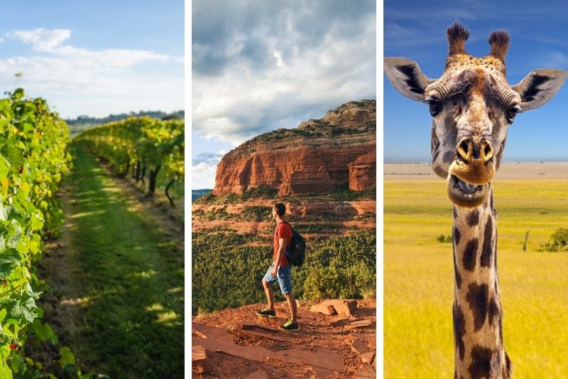 African Ambush Jeep Tour plus Winery Tour Combo in Camp Verde