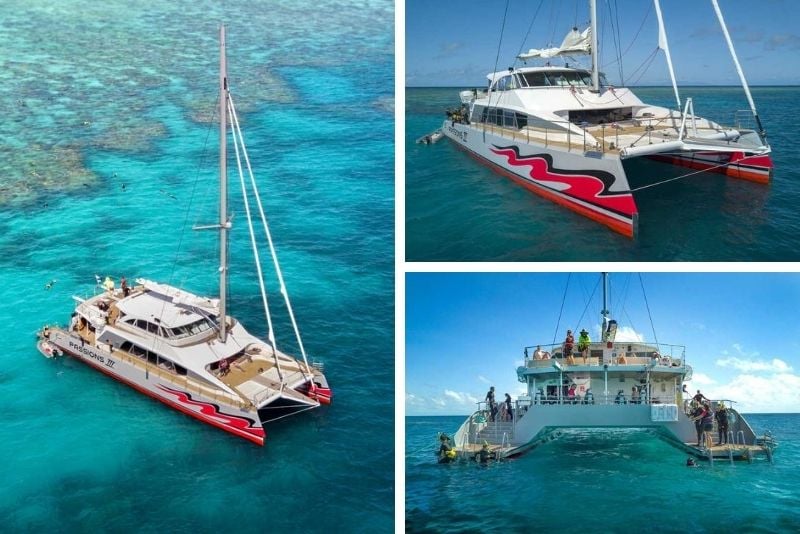 Great Barrier Reef Premium Catamaran Cruise from Cairns