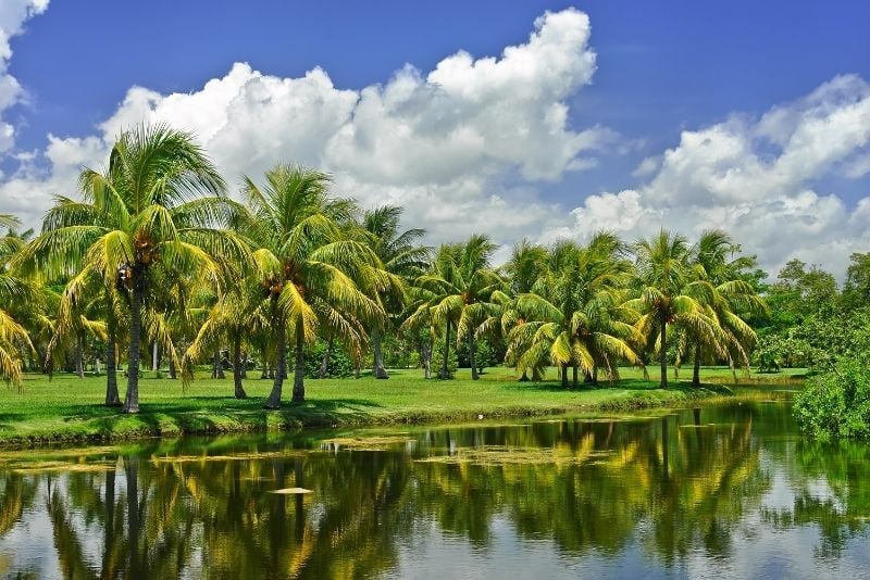 Jardin botanique tropical Fairchild, Miami, Floride