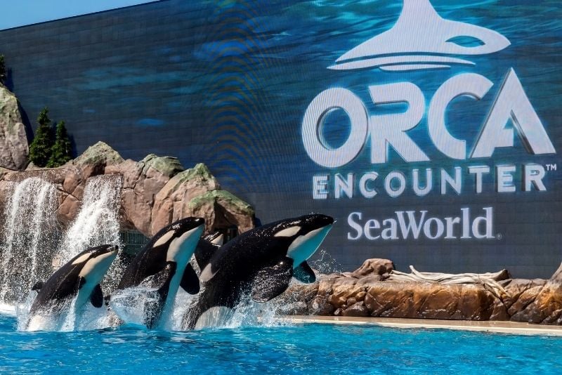 SeaWorld theme park in San Diego, California