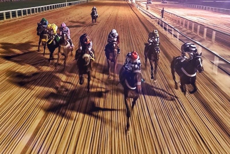 Carreras de caballos en Del Mar Racetrack en San Diego, California