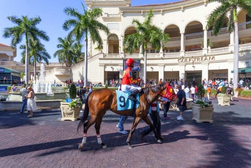 Carreras de caballos en Gulfstream Park, Miami, Florida