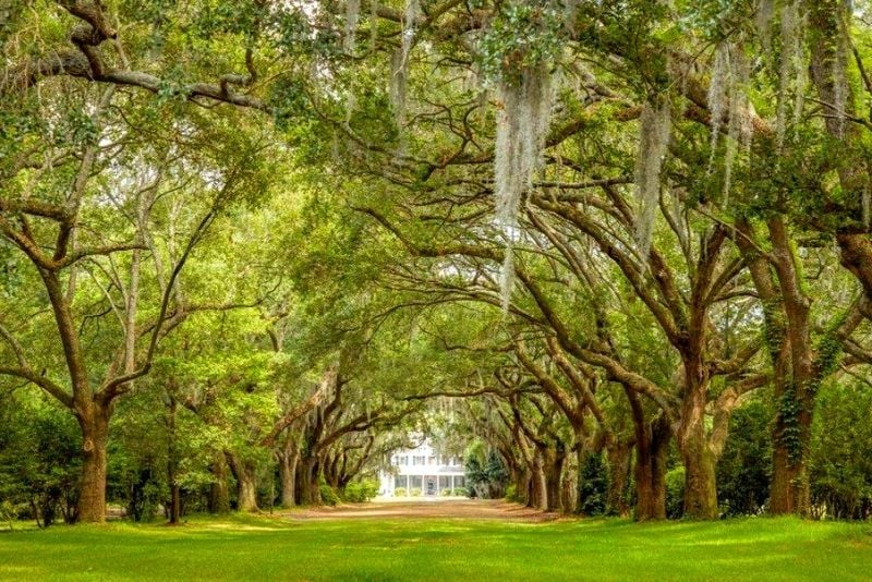 Charles Towne Landing State Historic Site