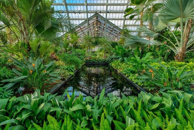 Garfield Park Conservatory, Chicago