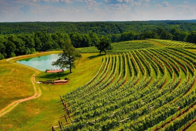 North Georgia wine country near Atlanta