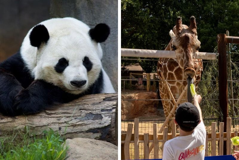 Zoo Atlanta