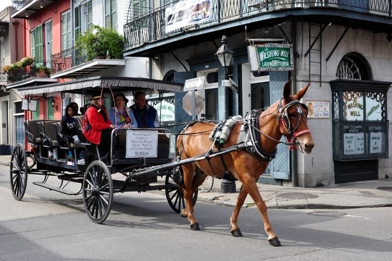 carriage ride through the French Quarter, New Orleans