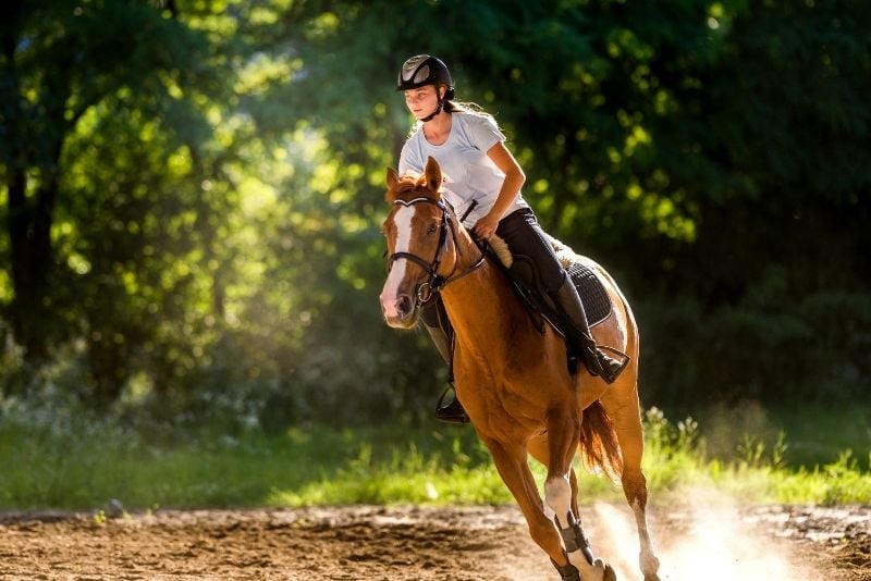 horse riding in Cancun, Mexico