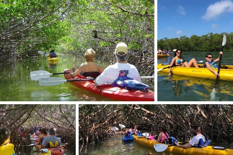 kayaking trips in Key West