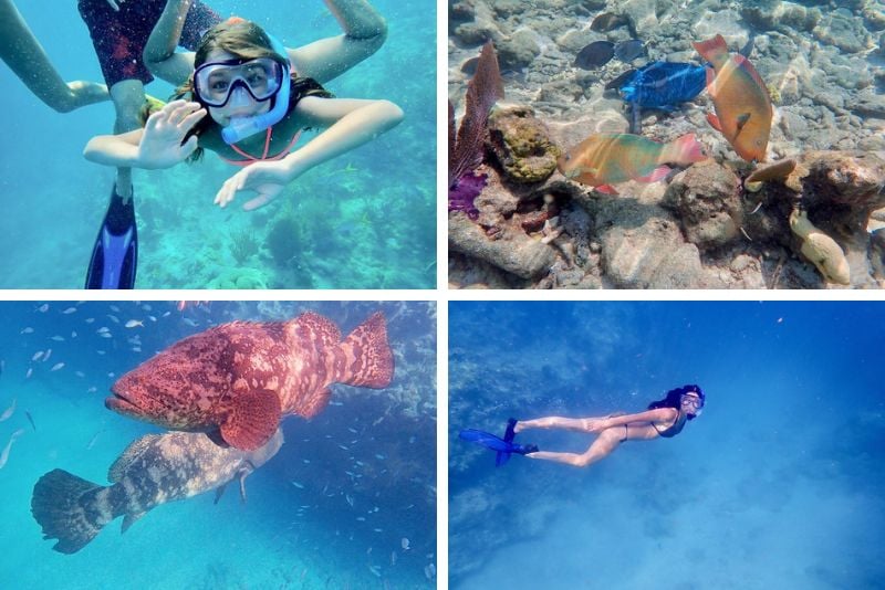 snorkeling trips in Key West