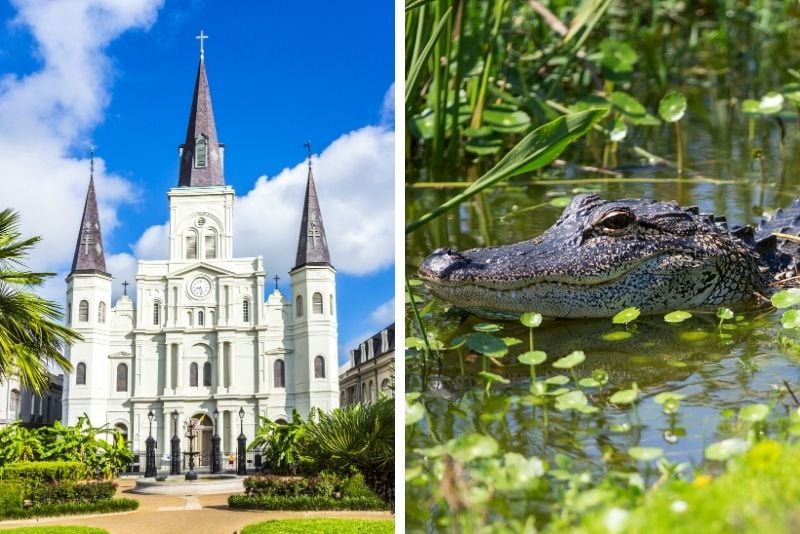 New Orleans City Tour and Swamp Boat Tour
