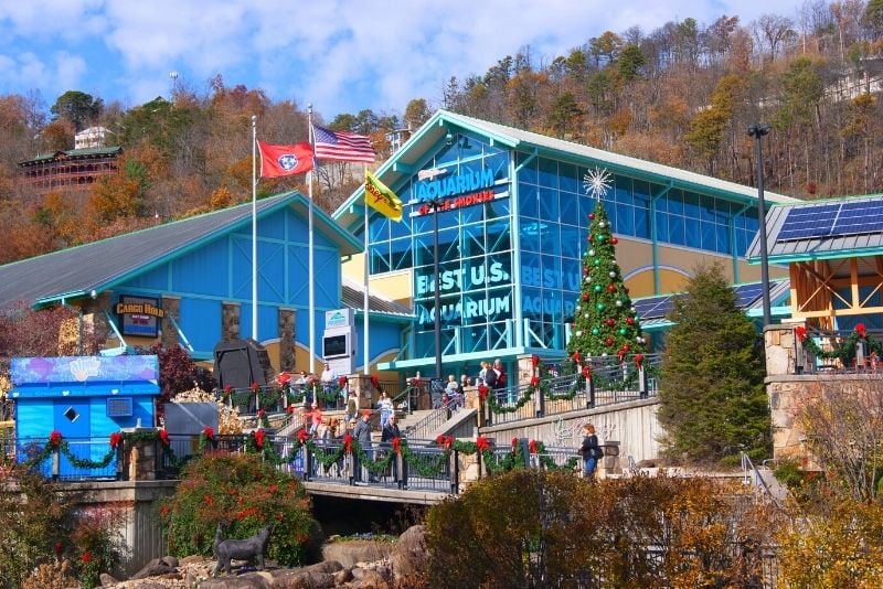 Ripley’s Aquarium of the Smokies