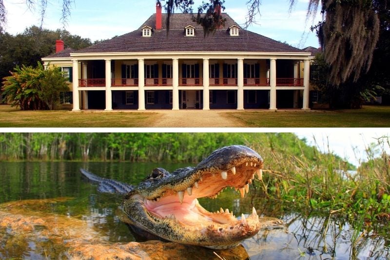 Swamp tour and Destrehan Plantation tour