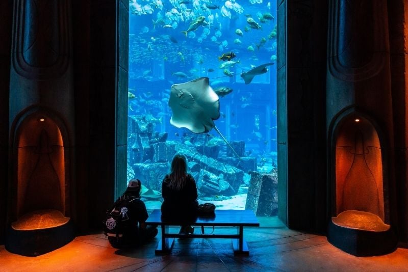 Das Aquarium der verlorenen Kammern, Dubai