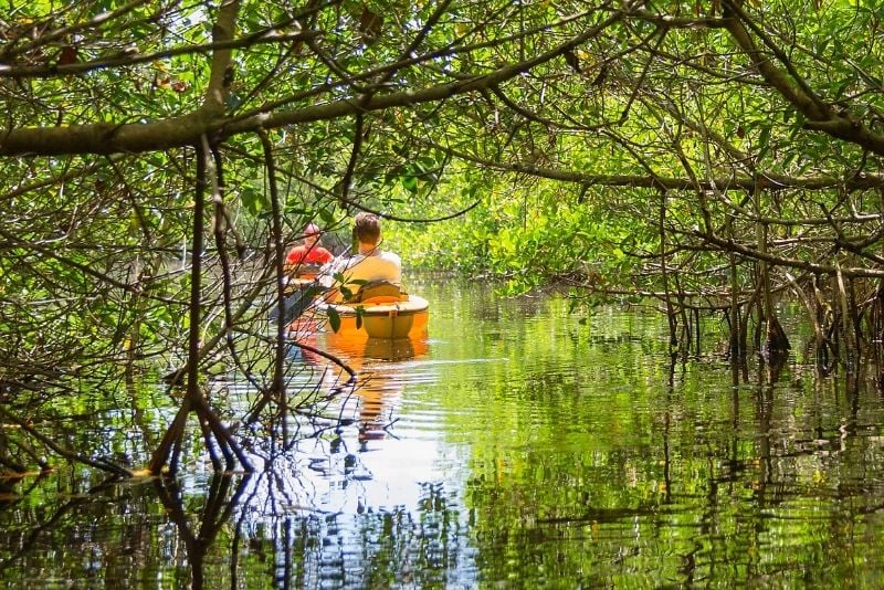 Whitney Plantation and Manchac Swamp Kayak Tour Combo