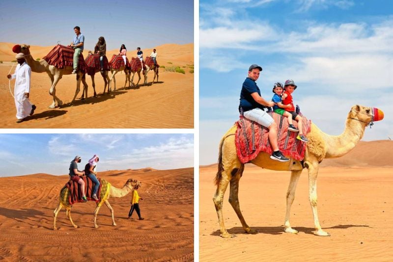 camel riding in Dubai
