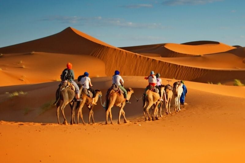 Kamelreiten in Dubai