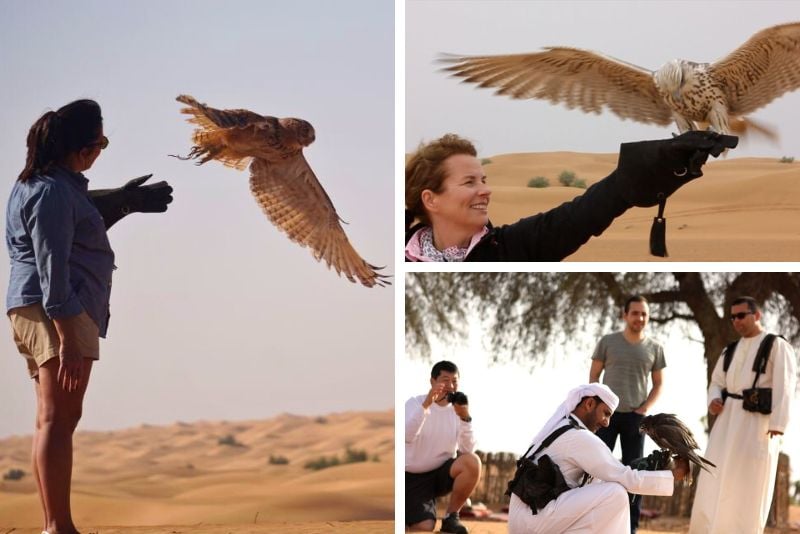 falconry in Dubai