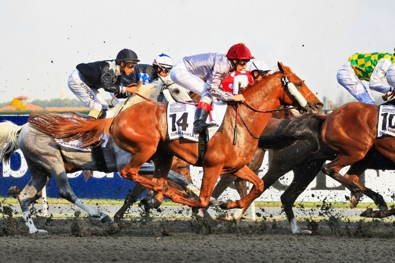 courses de chevaux à Dubaï