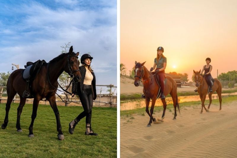 horse riding in Dubai