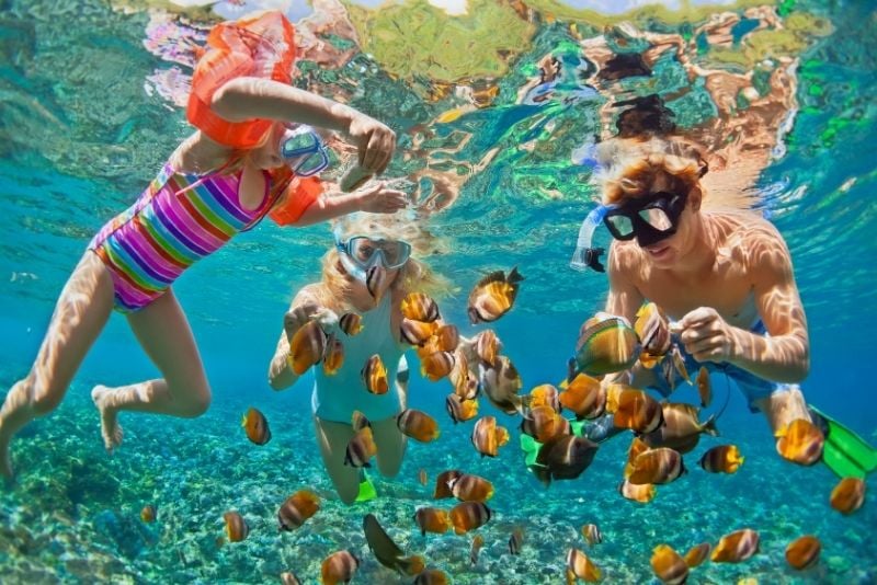 snorkeling a Gran Canaria