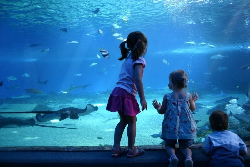 Maui Ocean Center