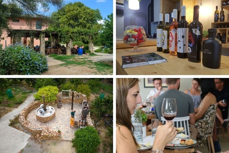 wine tasting tour in Crete