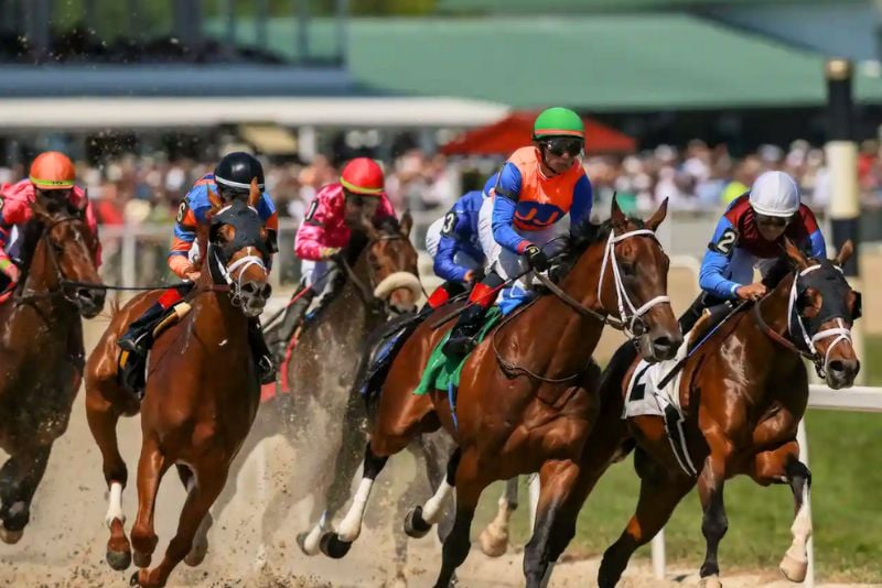 Horse racing at Tampa Bay Downs