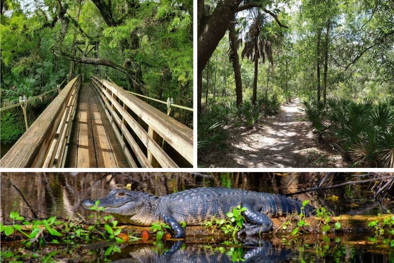 Lower Hillsborough Wilderness Preserve, Tampa, Florida