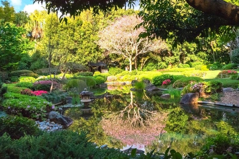 Mount Coot-Tha Botanical Gardens