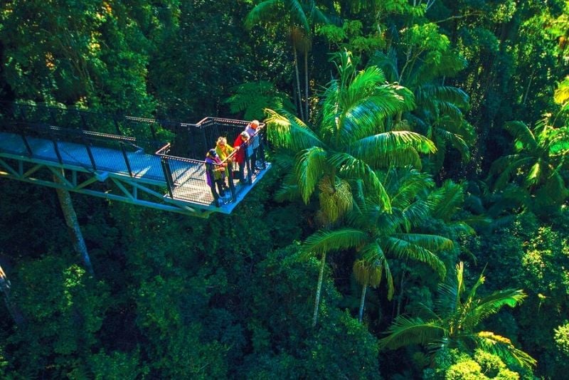 Mount Tamborine Rainforest Skywalk