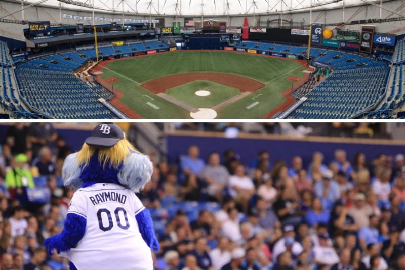 Tampa Bay Rays baseball, Tropicana Field, Tampa